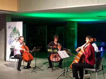 36225542_897327510452345_4844875602701844480_n